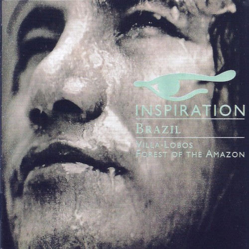 Inspiration: Brazil - Forest of the Amazon
