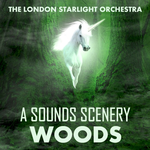 The Dream Hour - Woods