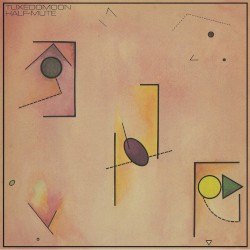 The Vinyl Box
