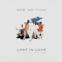 Lost in Love: The Best of Slow Jams