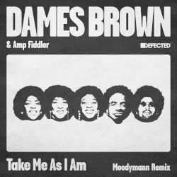 Take Me as I Am (Moodymann remix)