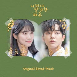 어쩌다 발견한 하루 OST