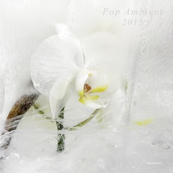 Pop Ambient 2015