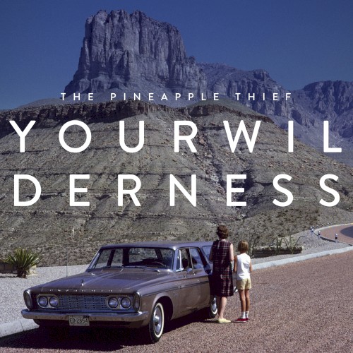 Your Wilderness