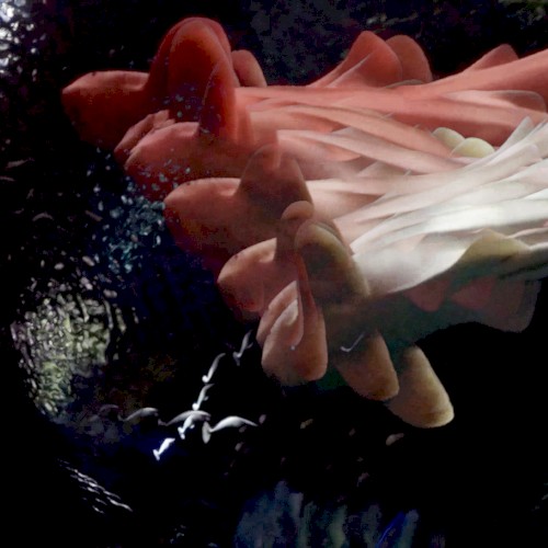 Guilty Possession of a Nervous System