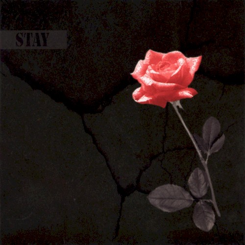 STAY