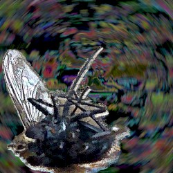 ▒