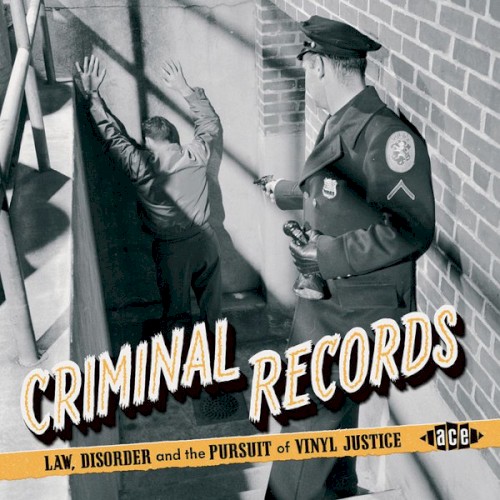 Criminal Records; Law, Disorder And The Pursuit Of Vinyl Justice