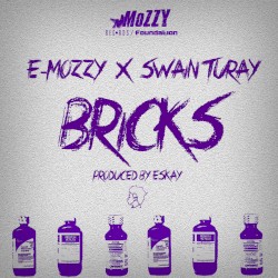 Bricks