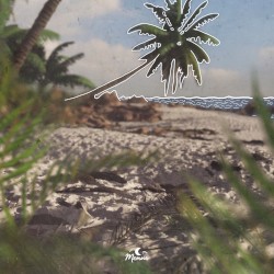 Umbrella Pine