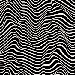 Desert Visions