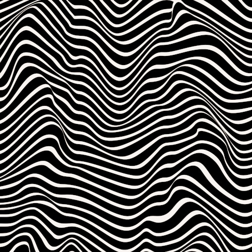 Desert Visions