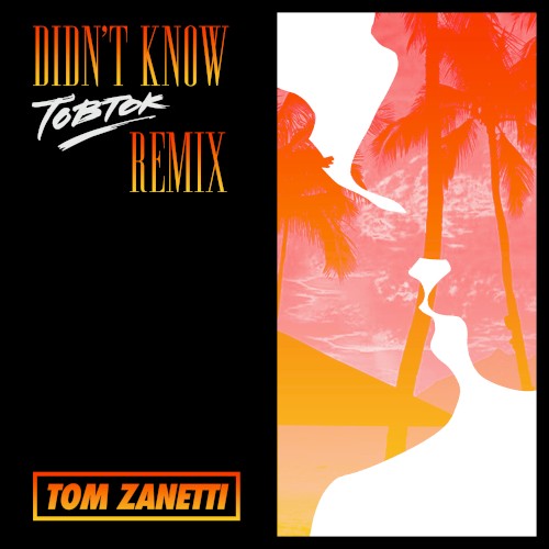 Didn't Know (Tobtok remix)