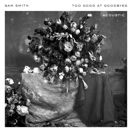 Too Good at Goodbyes (acoustic)