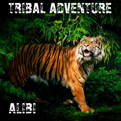 Tribal Adventure