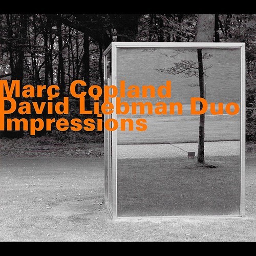 Impressions