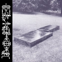 #256: Great Brown Dripping Box of the Lutheran Church Bereft of Sour Souls