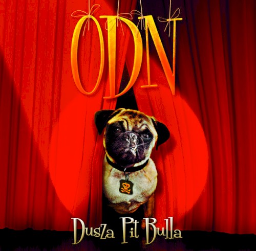 Dusza PitBulla