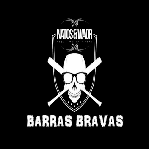 Barras Bravas