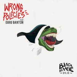 Wrong Policies