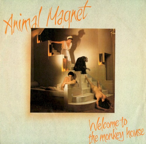Welcome to the Monkey House