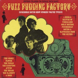 Incredible Sound Show Stories, Volume 12 - Fuzz Pudding Factory