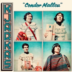 Condor Mallcu