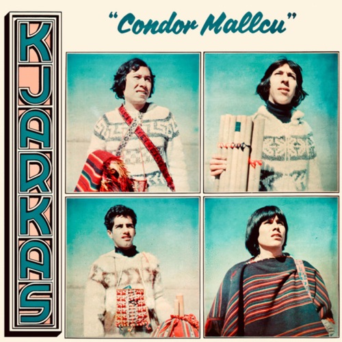 Condor Mallcu
