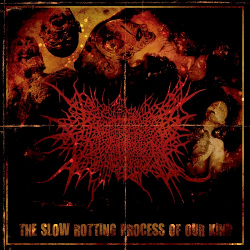 The Slow Rotting Process Of Our Kind