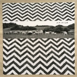 Animism
