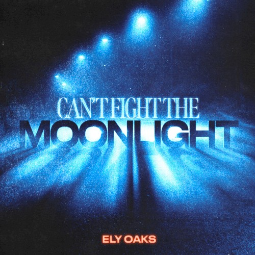 Can’t Fight The Moonlight