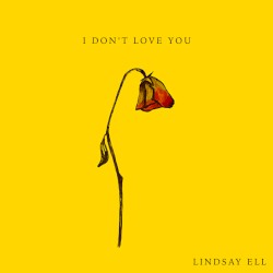 I Don’t Love You
