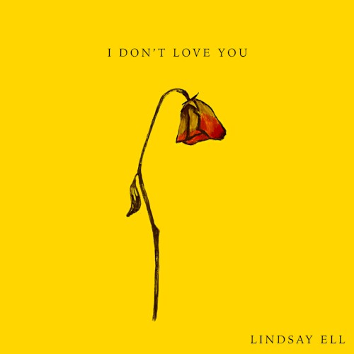I Don’t Love You