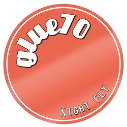 Night Fly