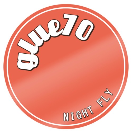 Night Fly