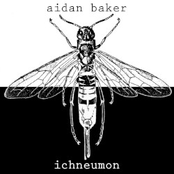 Ichneumon