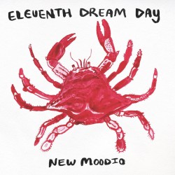 New Moodio