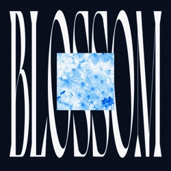 Blossom
