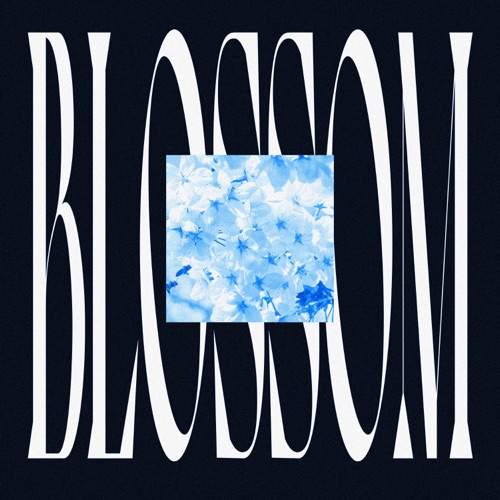 Blossom