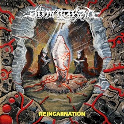Reincarnation