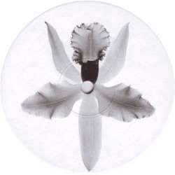 Flight Over Bermuda EP