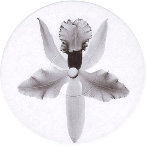 Flight Over Bermuda EP