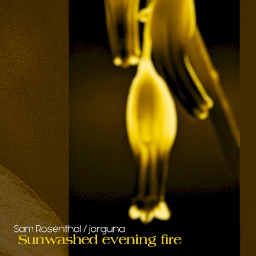 Sunwashed evening fire