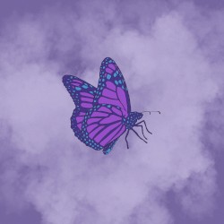 Fragments