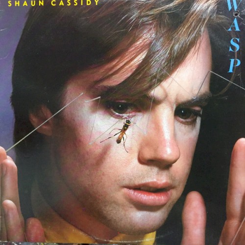 Wasp