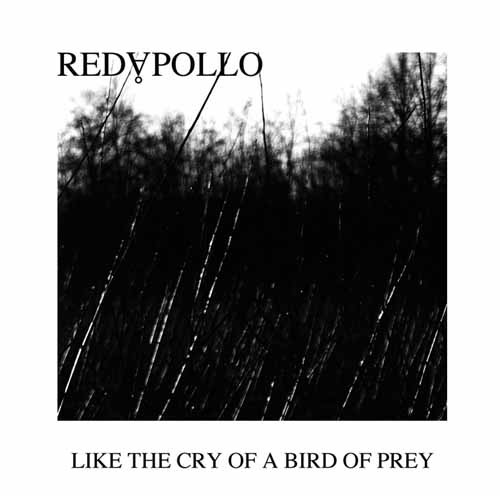 Like The Cry Of A Bird Of Prey