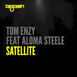 Satellite