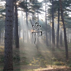 Meet Me In The Woods