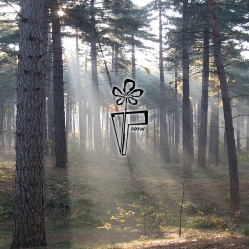 Meet Me In The Woods