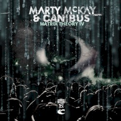 Matrix Theory IV